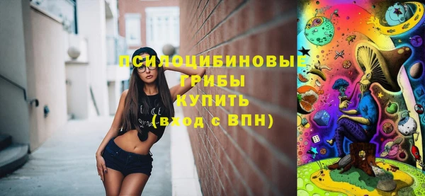 герыч Алексин