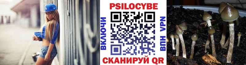 hydra ССЫЛКА Тамбов Галлюциногенные грибы Psilocybine cubensis наркота
